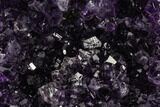 Tall, Dark Purple Amethyst Cluster On Wood Base - Uruguay #113896-1